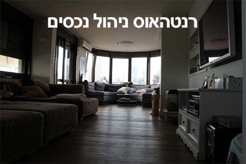 חברה לניהול נכסים בכפר סבא